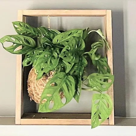 Corso 107 Wellness & 招待所 罗马