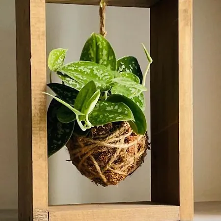 招待所 Corso 107 Wellness & 4*