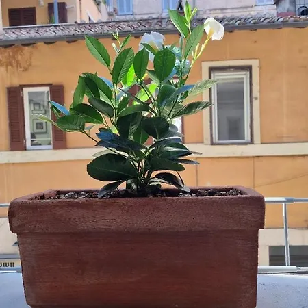 招待所 Corso 107 Wellness & 4*