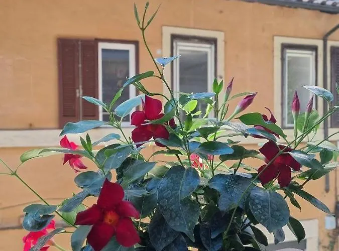 Corso 107 Wellness & 4*