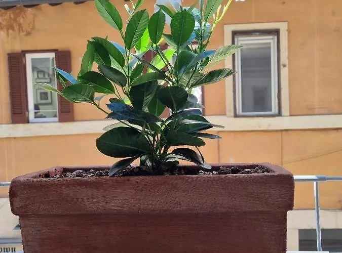 Guest house Corso 107 Wellness & 4*