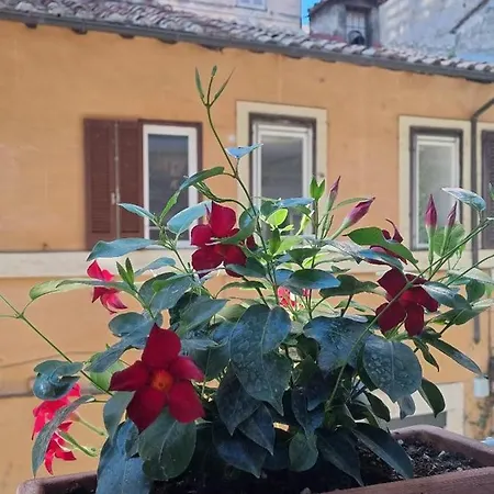 Corso 107 Wellness & 4*